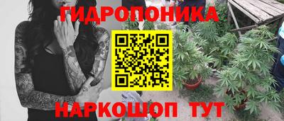 таблы Шелехов