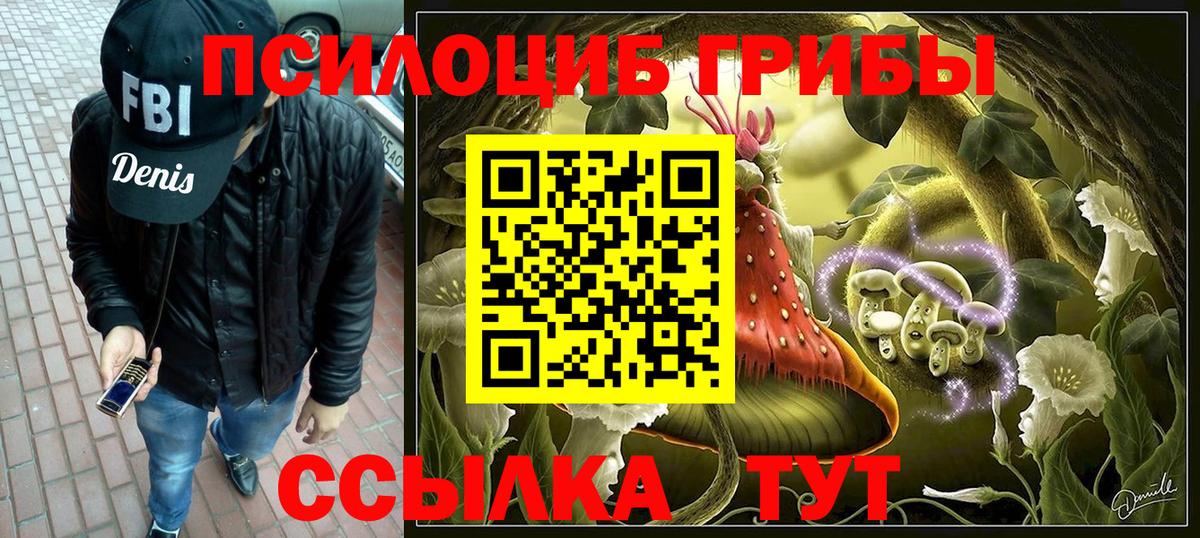 Белово  Галлюциногенные грибы MAGIC MUSHROOMS  Вход с VPN 