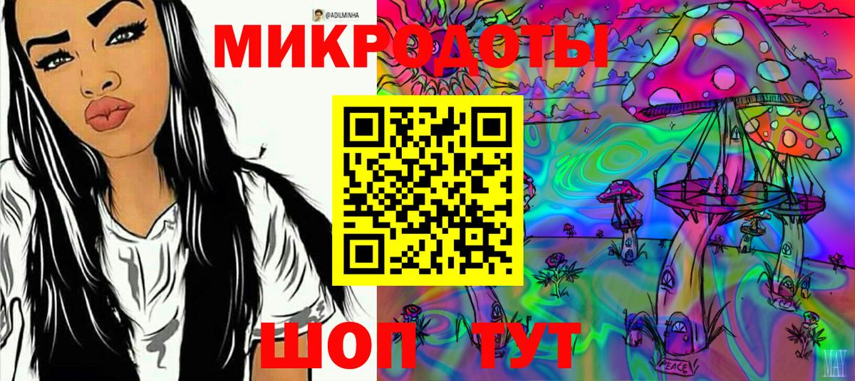 Псилоцибиновые грибы Psilocybe Белово